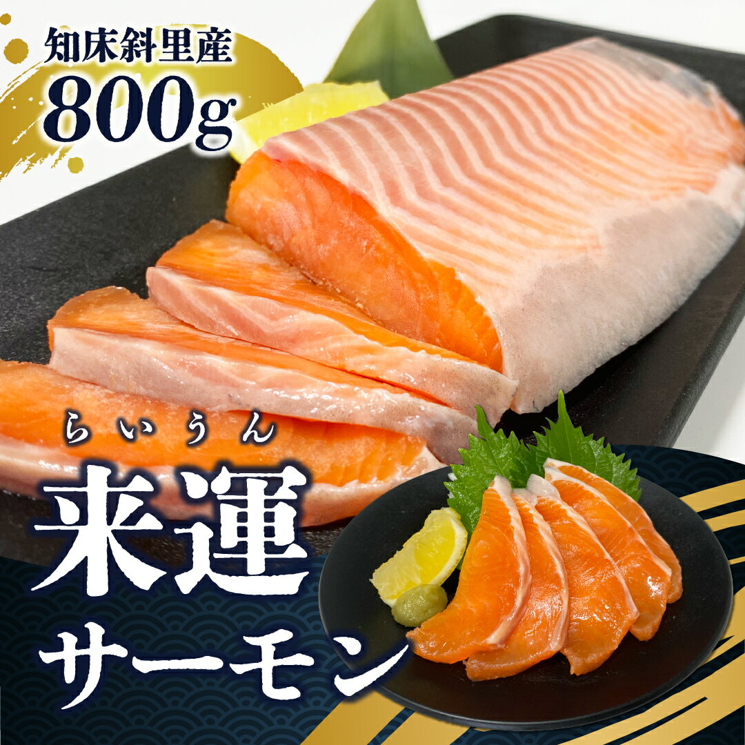 【ふるさと納税】【先行受付】新ブランド「来運サーモン(約800g)」知床斜里産の天然サーモン。船上活締めで鮮度抜群!【配送不可地域：離島・沖縄県】