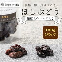 【ふるさと納税】京都三和・丹波ぶどう＜藤稔＞ほしぶどう（ドライ）　100g　3パック / ふるさと納税 ドライフルーツ ほしぶどう 干しブドウ レーズン ドライレーズン 三和ぶどう ふじみのり 藤稔 100g 手作り 三和町 特産 丹波 京都府 福知山市 FCCO010