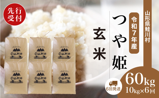 ＜令和7年産米先行受付＞ 山形県産 特別栽培米 つや姫 【玄米】60kg定期便(10kg×6回)　配送時期指定できます！