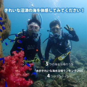 ダイビング 体験チケット 大人1名1回 伊豆半島 スキューバダイビング