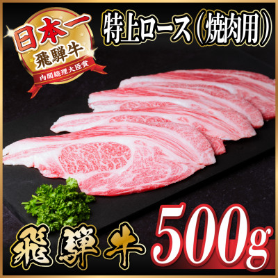 
            飛騨牛　特上ロース　焼肉　500g　A5等級　＜冷凍便＞　黒毛和牛　BBQ用【1543790】
          