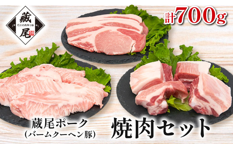 
            蔵尾ポーク(バームクーヘン豚)焼肉セット（ロース・スペアリブ・豚トロ）計700g
          