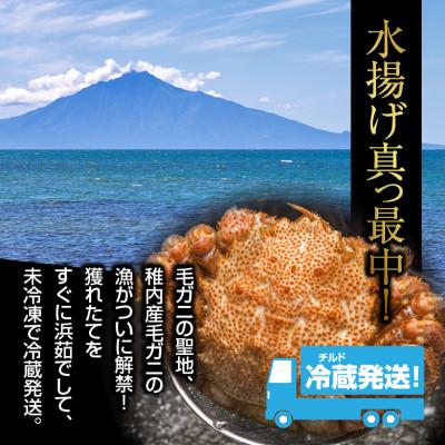 ふるさと納税 稚内市 【未冷凍、冷蔵発送! 2026年新物】極・稚内産毛ガニ500g前後 浜茹でチルド |  | 03