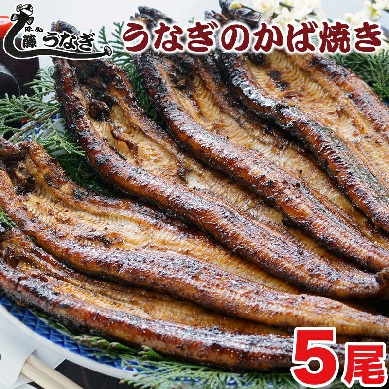 【ふるさと納税】藤うなぎ　かば焼き（5尾） 国産うなぎ 手焼き 炭火焼 送料無料 冷蔵 蒲焼 宮崎県 西都市＜4.2-2＞
