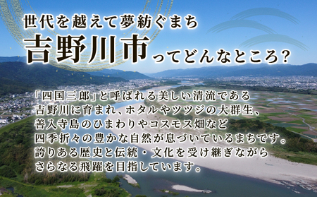 天野農園の梅干し 1kg (小梅) すっぱい梅干し 保存料不使用 梅干し 着色料不使用 梅干し 梅干し 梅干し