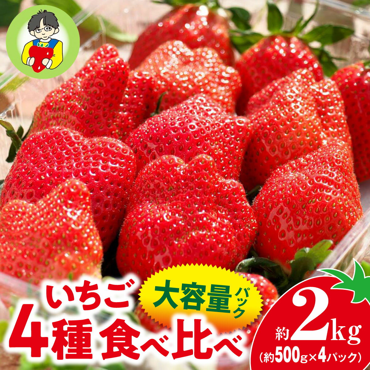 【ふるさと納税】＜2026年 先行予約＞いちご 4種食べ比べ 大容量パック 約500g×4パック 2kg｜コク 甘み 朝採れ やよいひめ ななか 恋みのり あまおとめ あすかルビー 贈答用 新鮮 完熟 いちご 旬 苺 産地直送 果汁 甘い 人気 高評価 美容 健康 旨味 高糖度 群馬県 前橋市
