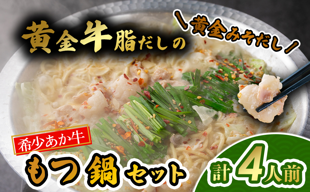 【選べるスープ】阿蘇はなびし あか牛もつ鍋セット（しょうゆ） 冷凍 鍋 醤油味 牛肉 もつ 冷凍 便利 料理 自宅用 贈答用 お中元 お歳暮 クリスマス ギフト 冬 おすすめ 熊本県 阿蘇市
