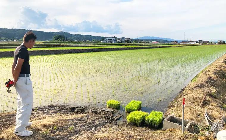 令和7年度産 山形産 「つや姫」10kg (玄米) 特別栽培米 8割減農薬・9割減化学肥料（当地比）【カブトエビが泳ぐほそやさんの田んぼから】微生物を活性化させるワーコム栽培 FY26-270