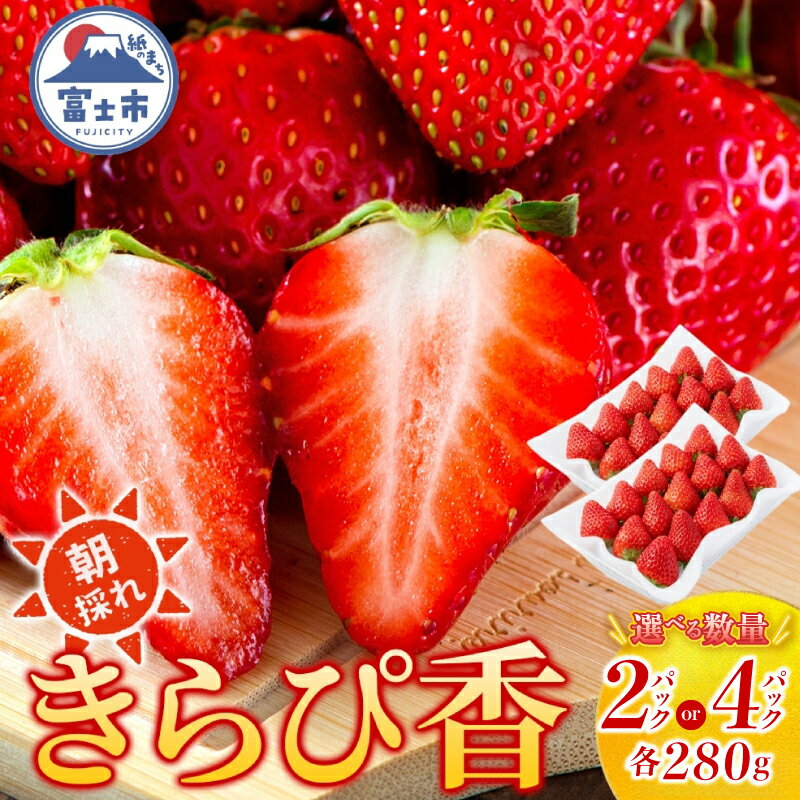 【ふるさと納税】 期間限定 富士市産 いちご きらぴ香 選べるパック数 約280g (2P/4P) 朝どれ 新鮮いちご 糖度が高い 甘み 上品な香り 凝縮 爽やか 酸味控えめ みずみずしい なめらか 果物 フルーツ 旬 ギフト 贈り物 【配送不可地域：沖縄・離島】 [sf123-003] [sf123-004]