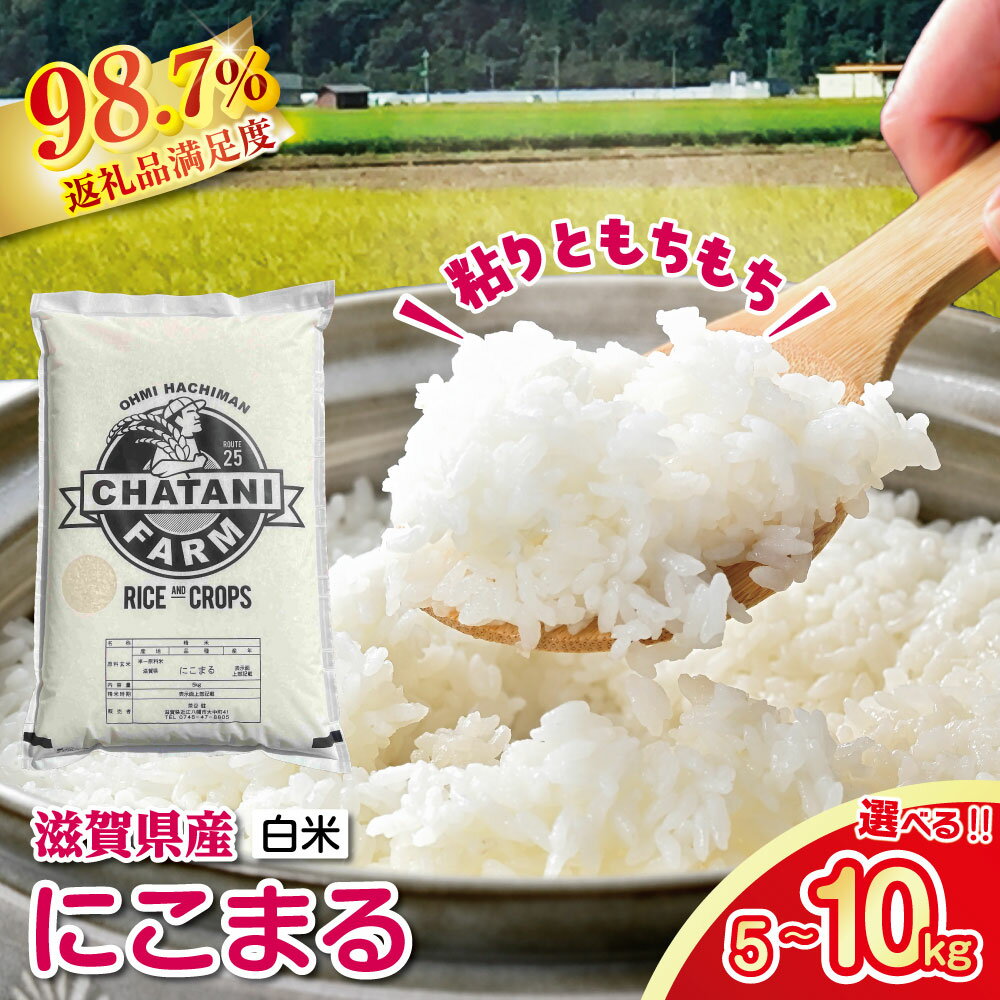 【ふるさと納税】令和7年産 近江米にこまる白米 5kg / 10kg 茶谷ファーム 滋賀県産 御中元 お中元