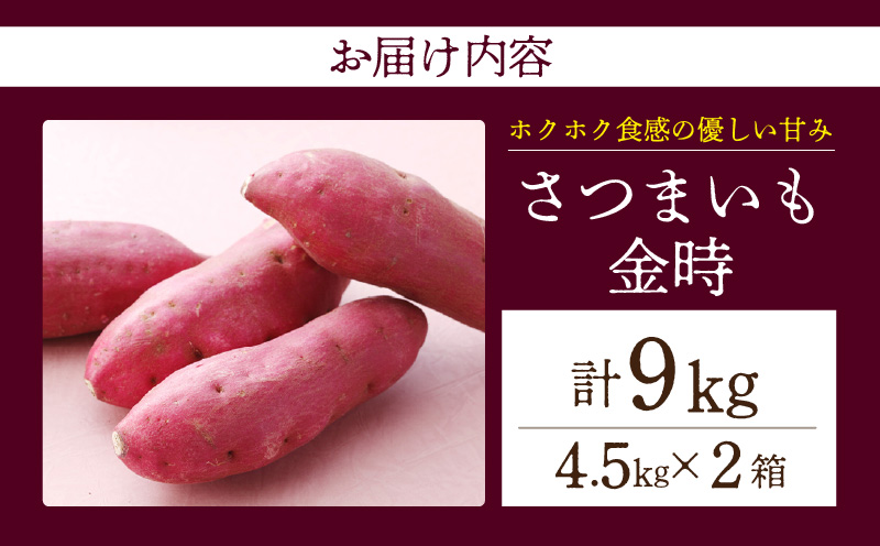 【ホックホク食感の優しい甘み】さつまいも金時 4.5kg 2箱・H117