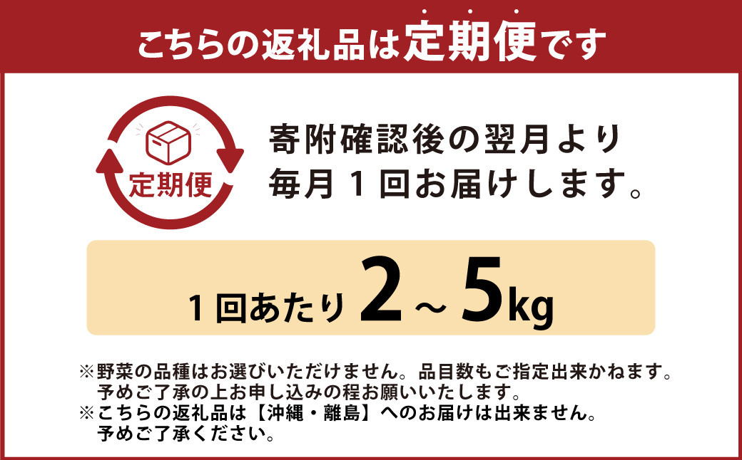 【定期便12回】旬の朝採れ土佐野菜詰め合わせ（10～13品目）