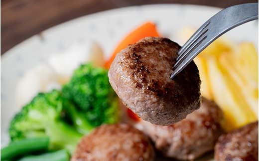 北海道産手作りミニハンバーグ 5個入り×6パック 無添加 ハンバーグ 肉 牛肉 豚肉 おかず 弁当 F4F-8541