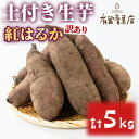 【ふるさと納税】＜訳あり＞自慢の農家×老舗青果店の土付き生芋(紅はるか・5kg) 鹿児島 お芋 サツマイモ 薩摩芋 生芋 焼き芋 おかず スイーツ【有留青果】【0073609a】