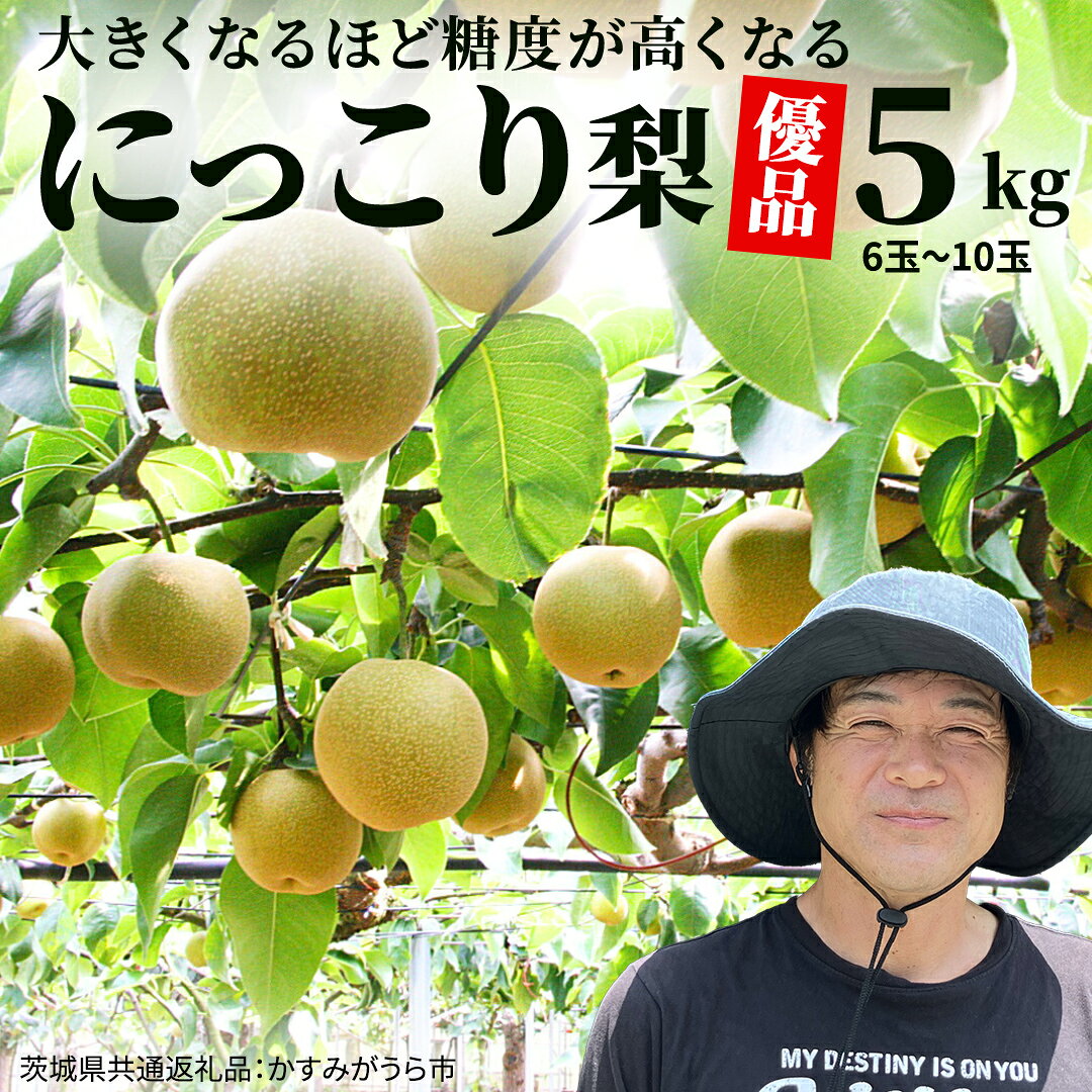 【ふるさと納税】《先行予約》《2026年9月下旬から発送開始》《優品》 にっこり梨 5kg 6玉〜10玉（茨城県共通返礼品／かすみがうら市） 鈴木農園 産地直送 フルーツ 甘い 直送 茨城 限定 にっこり