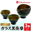 【ふるさと納税】＜高島屋選定品＞宮澤ガラス ガラス黒 薩摩 酒器(片口・盃2個) ガラス 片口 盃 工芸品 酒器 手作り ギフト 贈答 プレゼント セット 伝統工芸品 雑貨【高島屋】