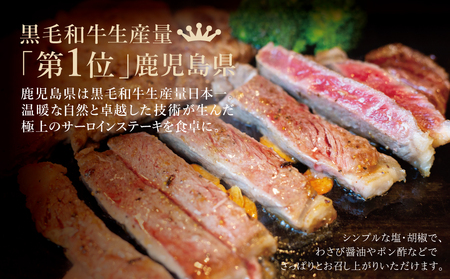 【鹿児島県産】黒毛和牛 サーロインステーキ 約500g （約170g×3枚） 4等級以上 サーロイン BBQ 焼肉 バーベキュー キャンプ 国産 和牛 牛肉 お肉ギフト 贈答 冷凍 スターゼン 南さつ