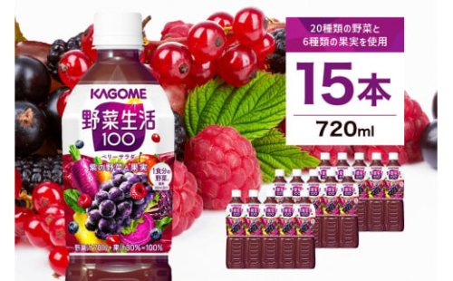 カゴメ　野菜生活100(ベリーサラダ)720ml PET×15本【 飲料 野菜ジュース 栃木県 那須塩原市 】 ns001-026