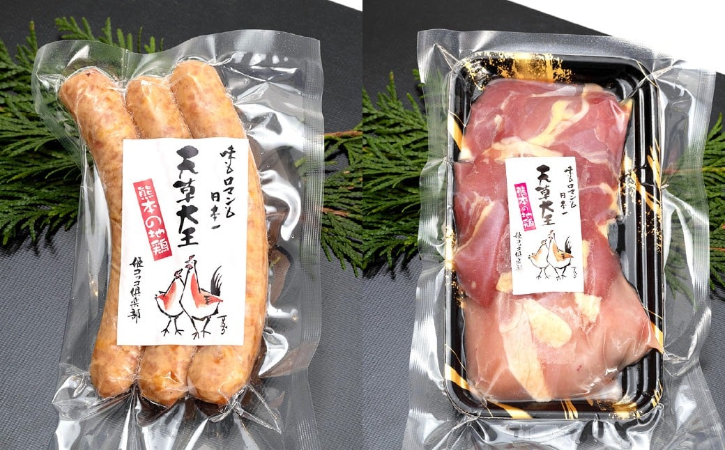 【アウトドアセット】 天草大王 幻の鶏 キャンプ BBQ 骨付きもも肉 (500g) 大手羽先 ソーセージ ブツ切りミックス