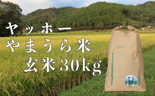 山浦地区まちづくり推進協議会のヤッホーやまうら米 30kg（玄米） 米 玄米 新米 ＜078-004＞