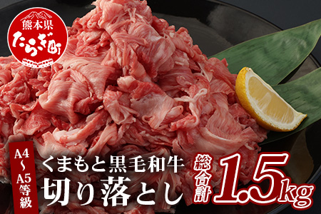 A4～A5等級 くまもと黒毛和牛 切り落とし 合計約1.5kg（300g×5パック）国産 牛肉 小分け 熊本県産 085-0654