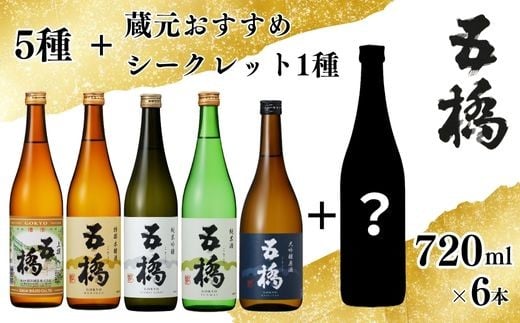 
            五橋 5種＋シークレット1種 飲み比べ 720ml ×6本【酒井酒造】
          