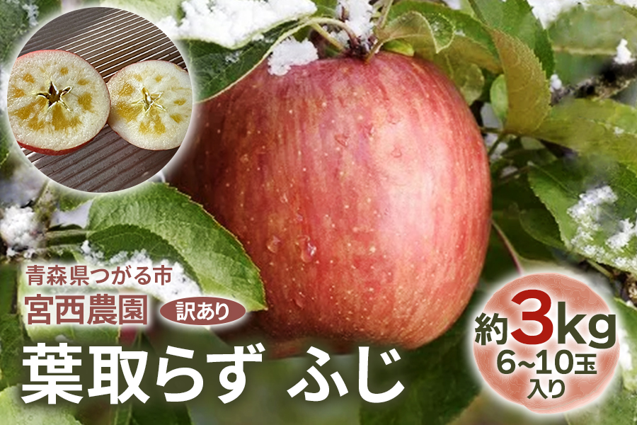 [訳あり] 葉取らず ふじ【約3kg 6から10玉入り】｜令和8年 2026年 訳アリ 訳あり 家庭用 青森産 津軽 つがる りんご リンゴ 果物 フルーツ ふじ フジ 青森りんご マタニティフード認