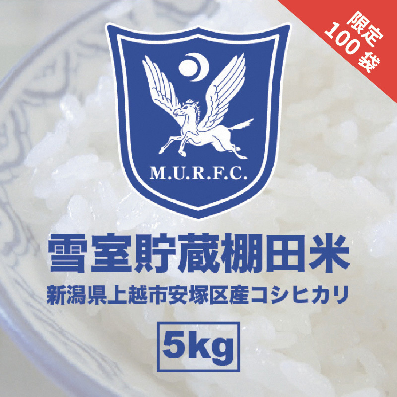 令和7年 新潟県産 コシヒカリ 雪むろ 棚田米 5kg 5キロ 白米  明治大学ラグビー部 安塚 雪室 こめ 新潟 上越 上越市