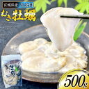 【ふるさと納税】【期間限定発送】 宮城県産 むき牡蠣 生食用 500g×1p [及新 宮城県 南三陸町 30aw0004] かき カキ 牡蠣 生牡蠣 貝 魚介類 剥き身 むき身 殻なし 冷蔵 新鮮 なべ カキフライ 牡蠣ご飯 濃厚