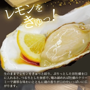 SD0267　天然岩牡蠣　計2kg以上(6～8個入)