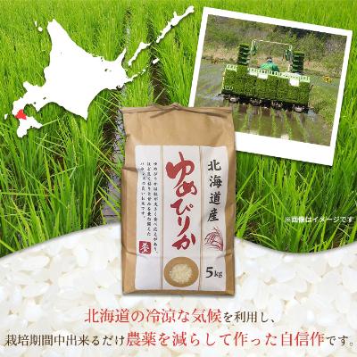 ふるさと納税 八雲町 【先行受付】【北海道八雲町熊石産】令和8年産米 厳選ゆめぴりか5kg(精白米) |  | 01