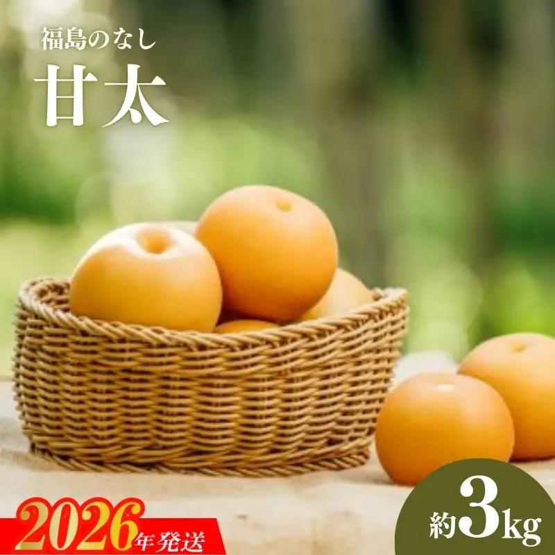 No.3060 宍戸果樹園　旬の特選梨（甘太3kg）【2026年発送】