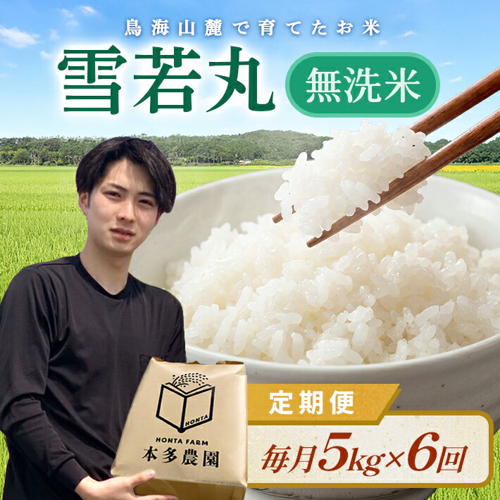 【ふるさと納税】≪新米予約≫ ≪6ヶ月定期便≫ 無洗米 雪若丸 5kg×6ヶ月連続 計30kg 令和8年産米 山形県酒田産 ご希望期間の毎月中旬にお届け 東北 山形県 酒田市 庄内地方 庄内平野 米 お米 白米 ブランド米 ご飯 ごはん 農家直送 産地直送 本多農園