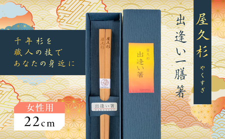 屋久杉 出逢い 一膳 箸 女性用（ 22cm ） K042-007_1
