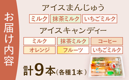 【手作りアイス】 全9種類 アイスまんじゅう アイスキャンディー 詰め合わせ 食べ比べ 9本入り 無香料 無着色 多治見市 / エイシン あずき 餡 ミルク いちご 抹茶 フルーツ オレンジ コーヒー