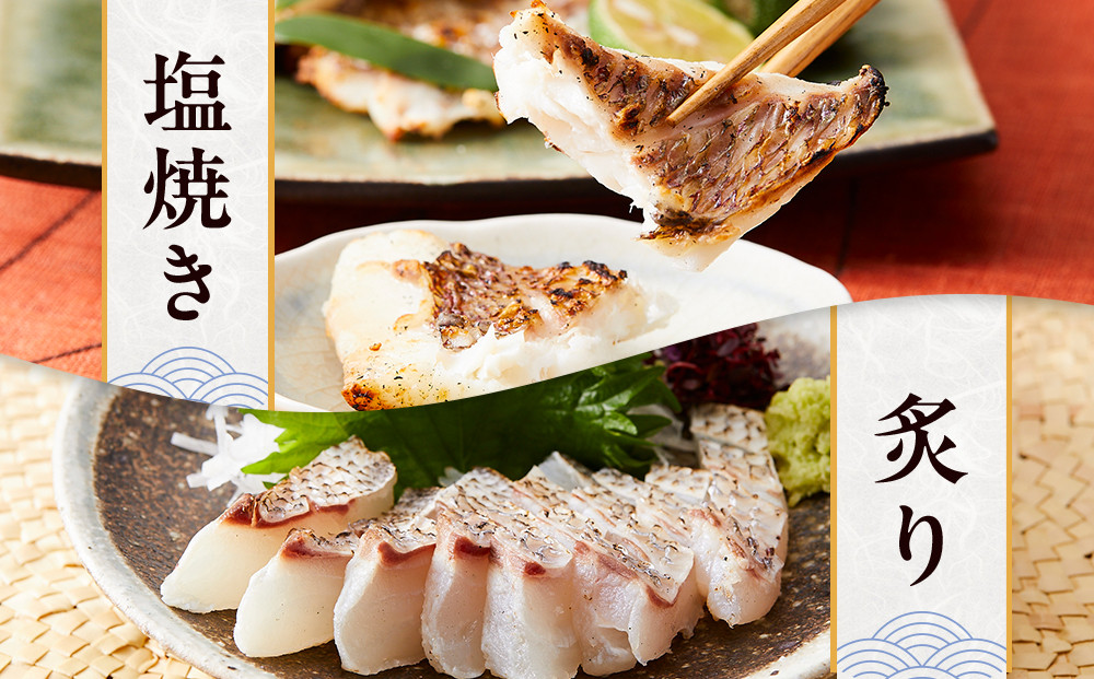 白浜天鯛完食 【先行予約 2026年3月初旬～5月中旬に順次配送】