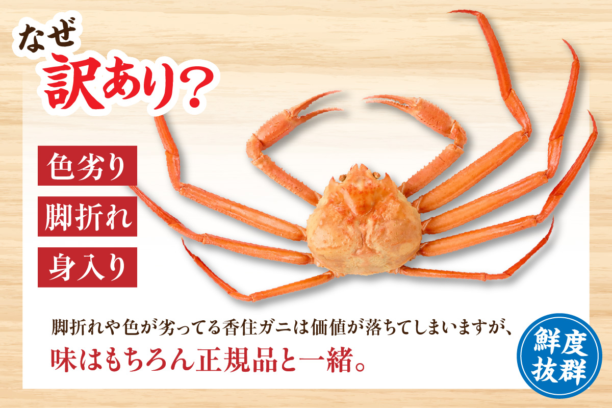 訳あり 香住ガニ 釜茹で 大きめ 約600g×3匹（約1.8kg以上）冷蔵 【令和8年9月中旬以降発送予定】 かに カニ 香美町 07-14