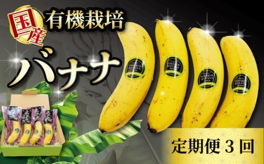 
            【 毎月3回定期便 】高級 バナナ 500g 以上 【 2026年2月より発送開始 】 3回 国産 有機栽培 高知初 糖度 25度以上 果物 フルーツ 高知県 須崎市
          