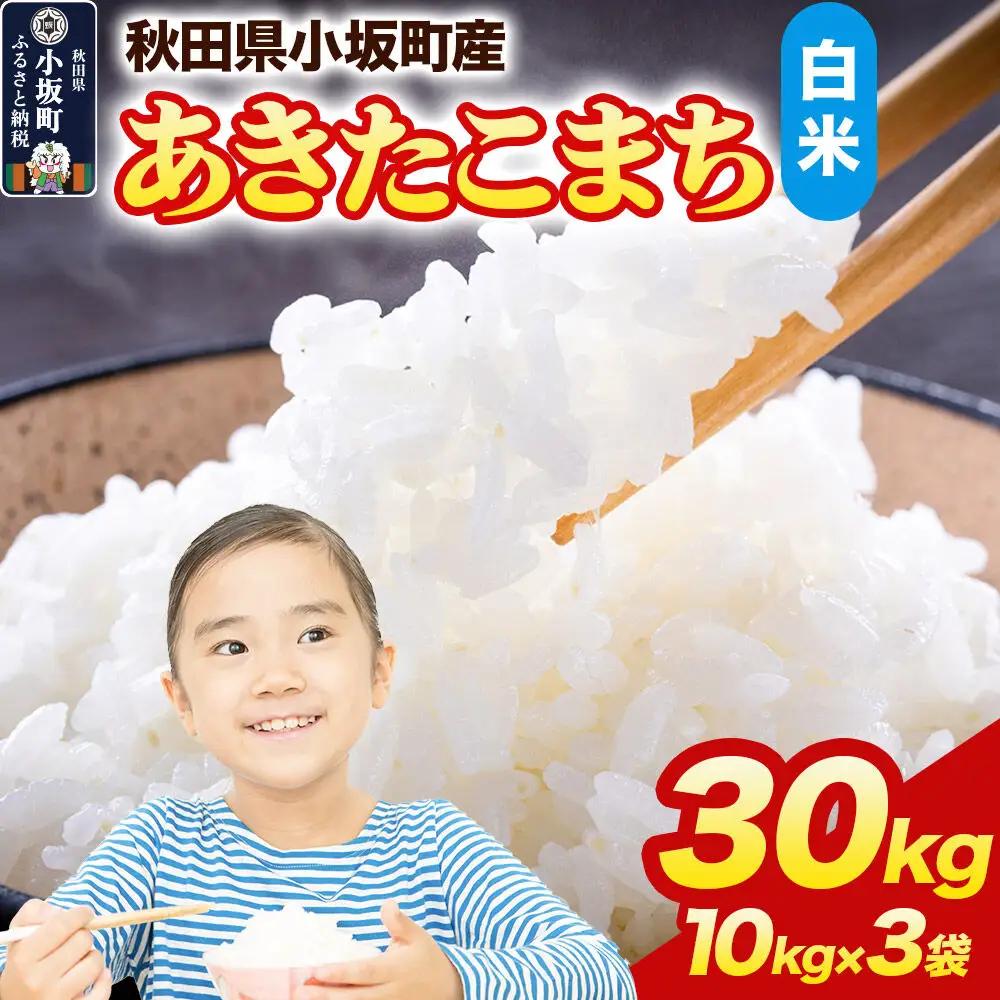 【白米】あきたこまち 30kg（10kg×3袋）令和7年産 精米 中村農園