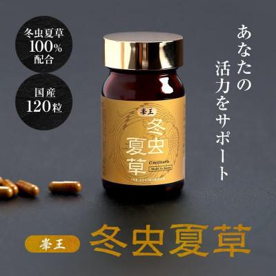 ふるさと納税 合志市 【毎月定期便】【峯王】冬虫夏草(24.6g(205mg×120粒))全12回