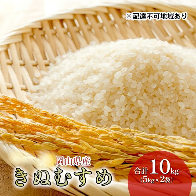 【ふるさと納税】米 特A 10kg 5kg×2袋 ランク きぬむすめ 令和7年産 こめ コメ 白米 岡山県産 特Aランク獲得 食味ランキング ブランド米 旨みもちもち ご飯のお供 高梁市 お取り寄せ グルメ　お届け：お届けまで3週間～1ヶ月前後かかる場合がございます。