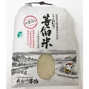 【令和5年産】等伯米コシヒカリ10kg (5kg×2袋)【1071556】