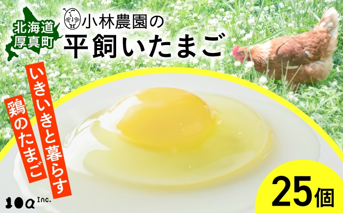 
                  卵 小林農園の平飼いたまご・無投薬 25個 《厚真町》【テンアール株式会社】 たまご 玉子 鶏卵 生卵 平飼い 有精卵 北海道 [AXAN011]
                