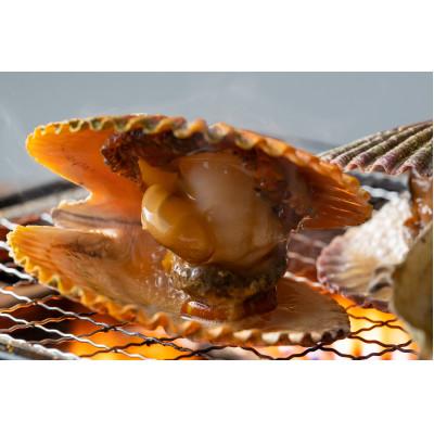 ふるさと納税 対馬市 対馬の2枚貝ヒオウギ貝 |  | 01