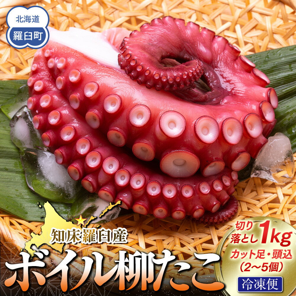 【ふるさと納税】知床羅臼産切り落としボイル柳たこ カット足・頭込（2～5個）約1kg | タコ たこ 魚 お魚 さかな 食品 加工食品 魚介類 食品 人気 おすすめ 送料無料