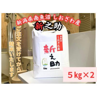 ふるさと納税 南魚沼市 新潟県南魚沼産　新之助　10kg　大粒でツヤがあるこれまでにないお米