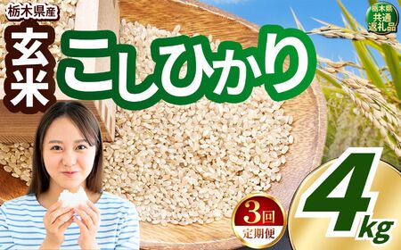 【定期便3回】こしひかり 玄米 約4kg