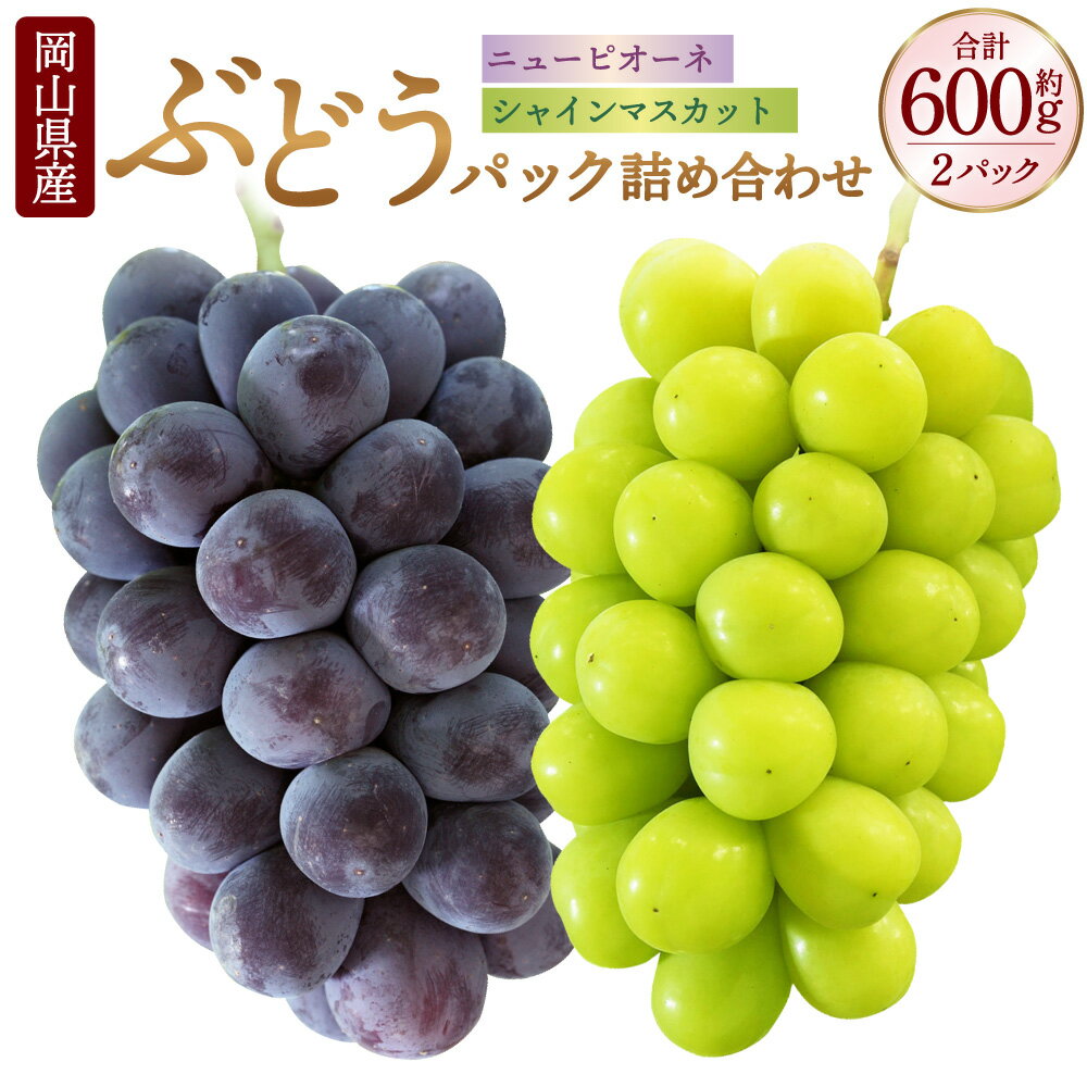 【ふるさと納税】岡山県産 ぶどう パック 詰合せ 2種 2パック 合計2房 約600g ニューピオーネ シャインマスカット 晴王 各1房 各300g セット ピオーネ マスカット 果物 フルーツ 詰め合わせ 食べ比べ 送料無料【2026年9月上旬～10月下旬発送予定】