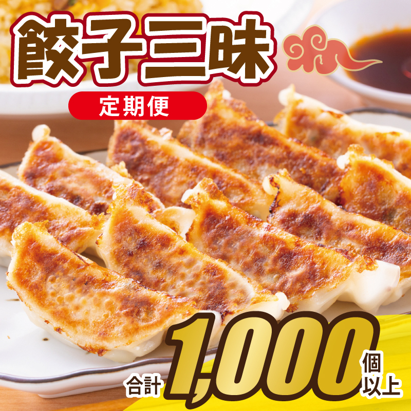 【合計1000個以上】餃子三昧 定期便 88個×12回【自家製 薄皮 手作り ぎょうざ 惣菜 毎月配送】 099Z335