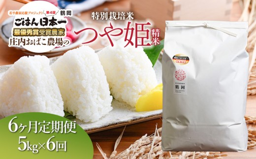 【令和8年産 新米】【定期便6ヵ月】庄内おばこ農場の特別栽培米 つや姫 精米 5kg(5kg×1袋)×6ヶ月 山形県鶴岡市 K-843 | 米 こめ コメ つやひめ ブランド米 庄内米 ごはん ご飯 美味しい 国産 おにぎり 農家直送 おすすめ 人気 お取り寄せ 返礼品